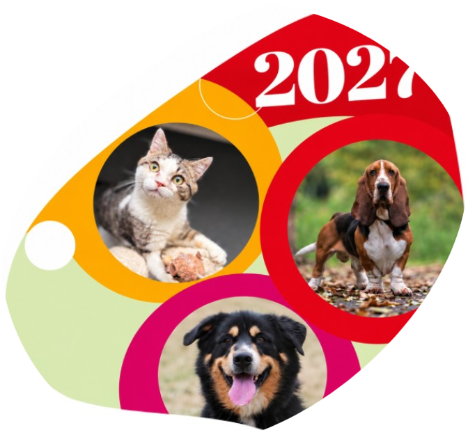 Steun dierenasiel Ganzeweide