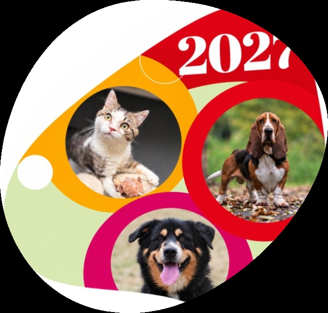 Steun dierenasiel Ganzeweide
