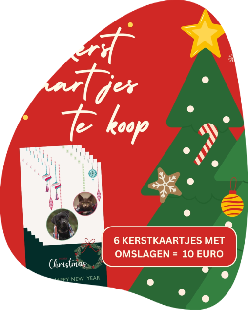 Kerstkaartverkoop ganzeweide 2026