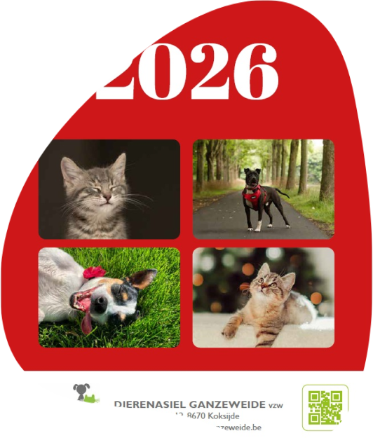 Dierenasiel Ganzeweide kalender 2026