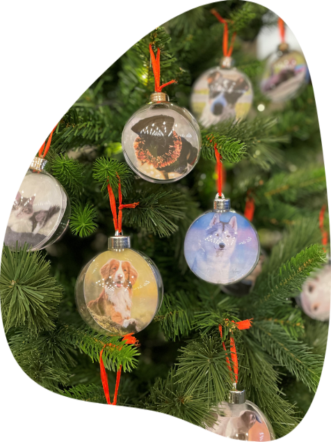 kerstboom vol dierenplezier ganzeweide koksijde