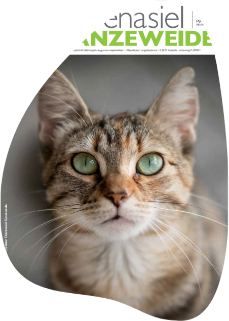 Ganzeweide editie 2025 III